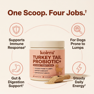 KOIRRA Turkey Tail Probiotic+ usps