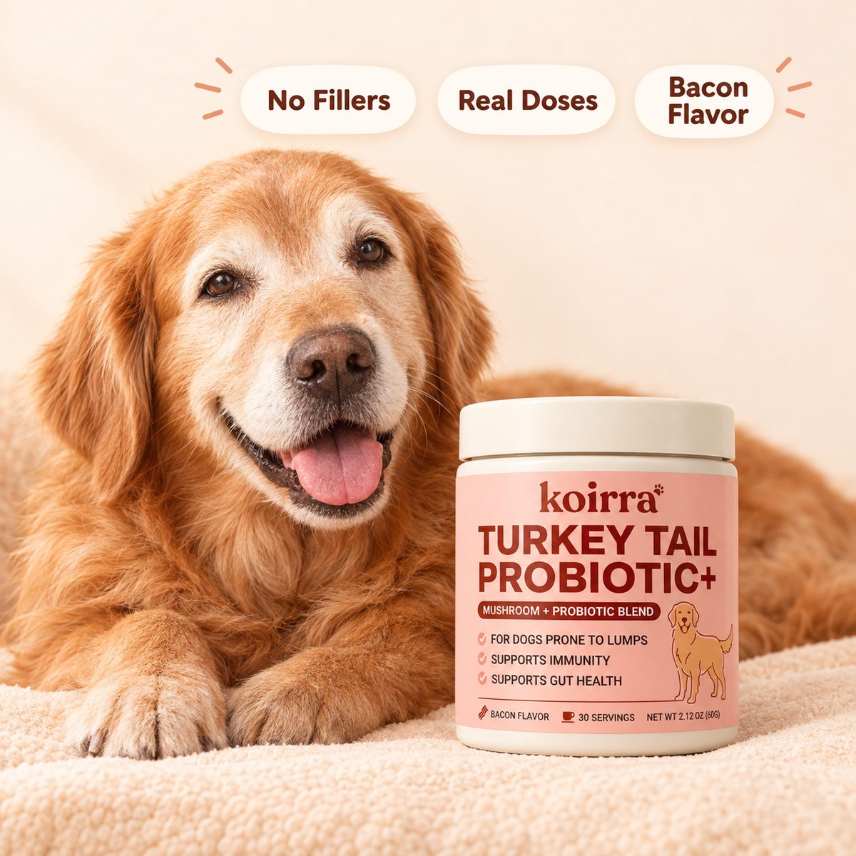 A senior golden retriever beside a jar of KOIRRA with badges reading no fillers, real doses, bacon flavor