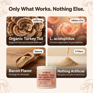 KOIRRA Turkey Tail Probiotic+ ingredients