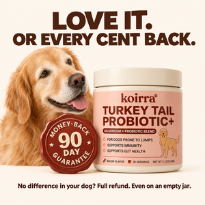 KOIRRA 90-day money-back guarantee: love it or every cent back, even on an empty jar